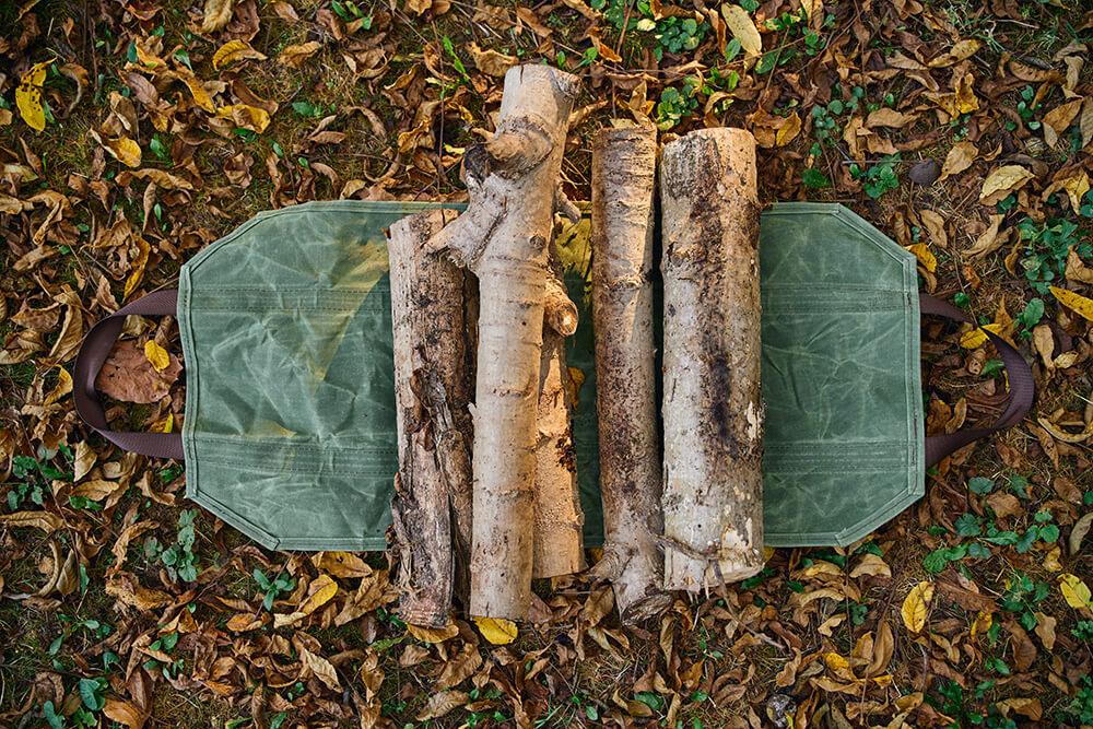 firewood carrier on leafy ground with logs